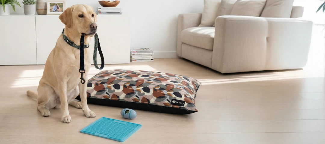 Préda BARF & Dog Shop